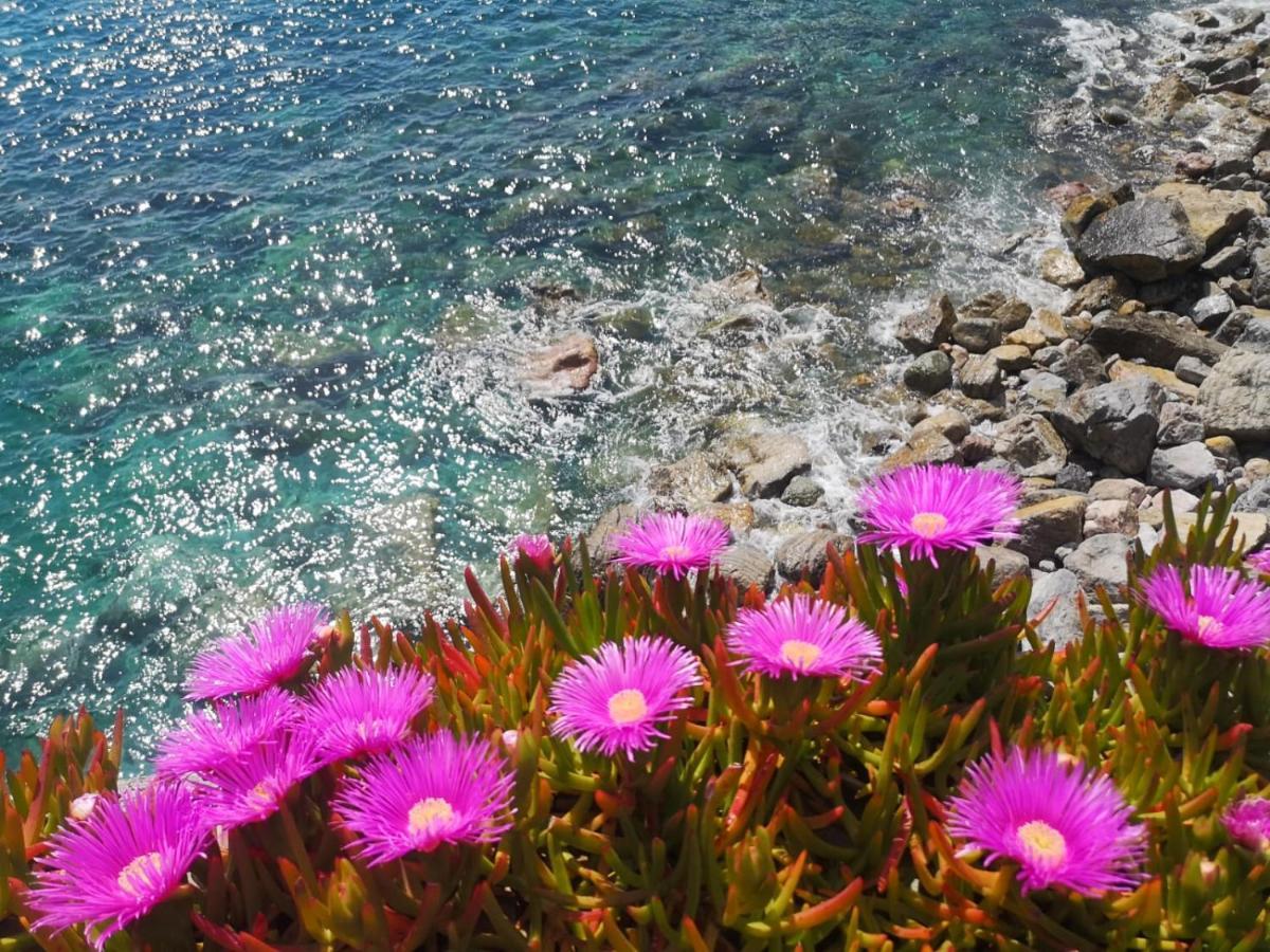 Pink House Garden Hotel Monterosso al Mare Buitenkant foto