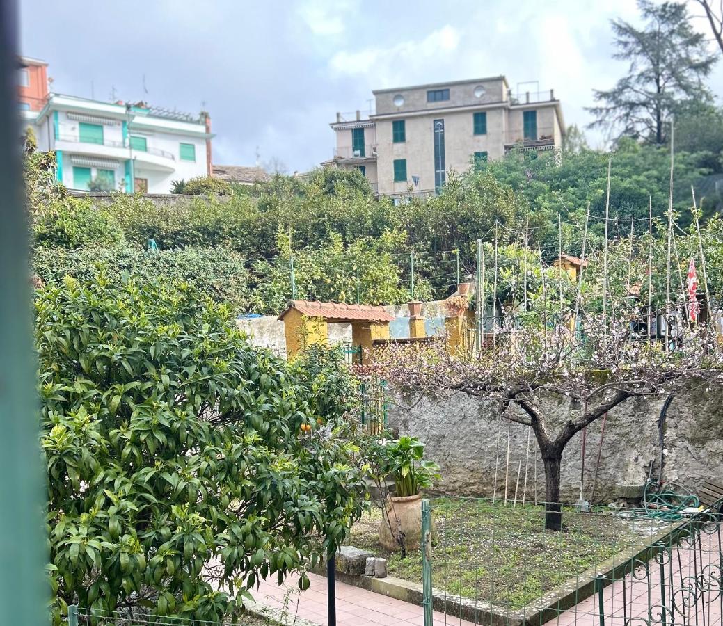 Pink House Garden Hotel Monterosso al Mare Buitenkant foto